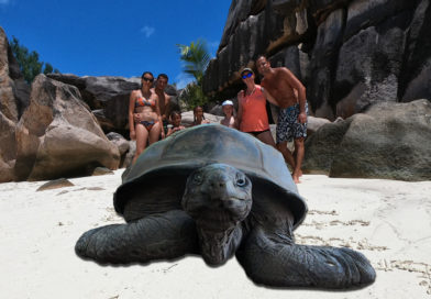 Giant Tortoises